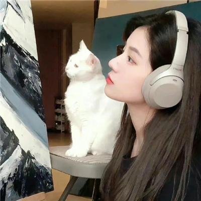 血鲨